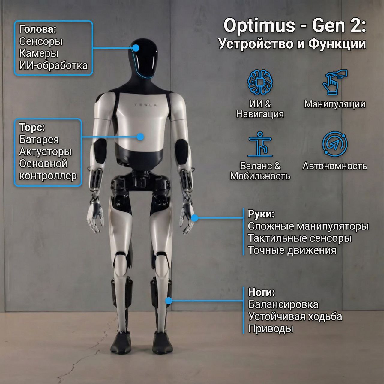 Пожалуйста, предоставьте текст статьи, чтобы я мог создать заголовки на его основе.