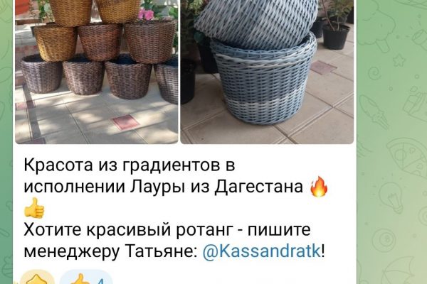 Пожалуйста, предоставьте текст статьи, чтобы я мог создать привлекательный заголовок на основе его содержания.