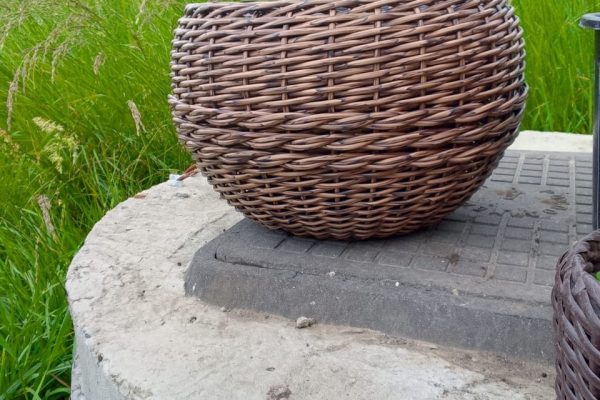 Пожалуйста, предоставьте текст статьи, чтобы я мог создать привлекательный заголовок на основе его содержания.