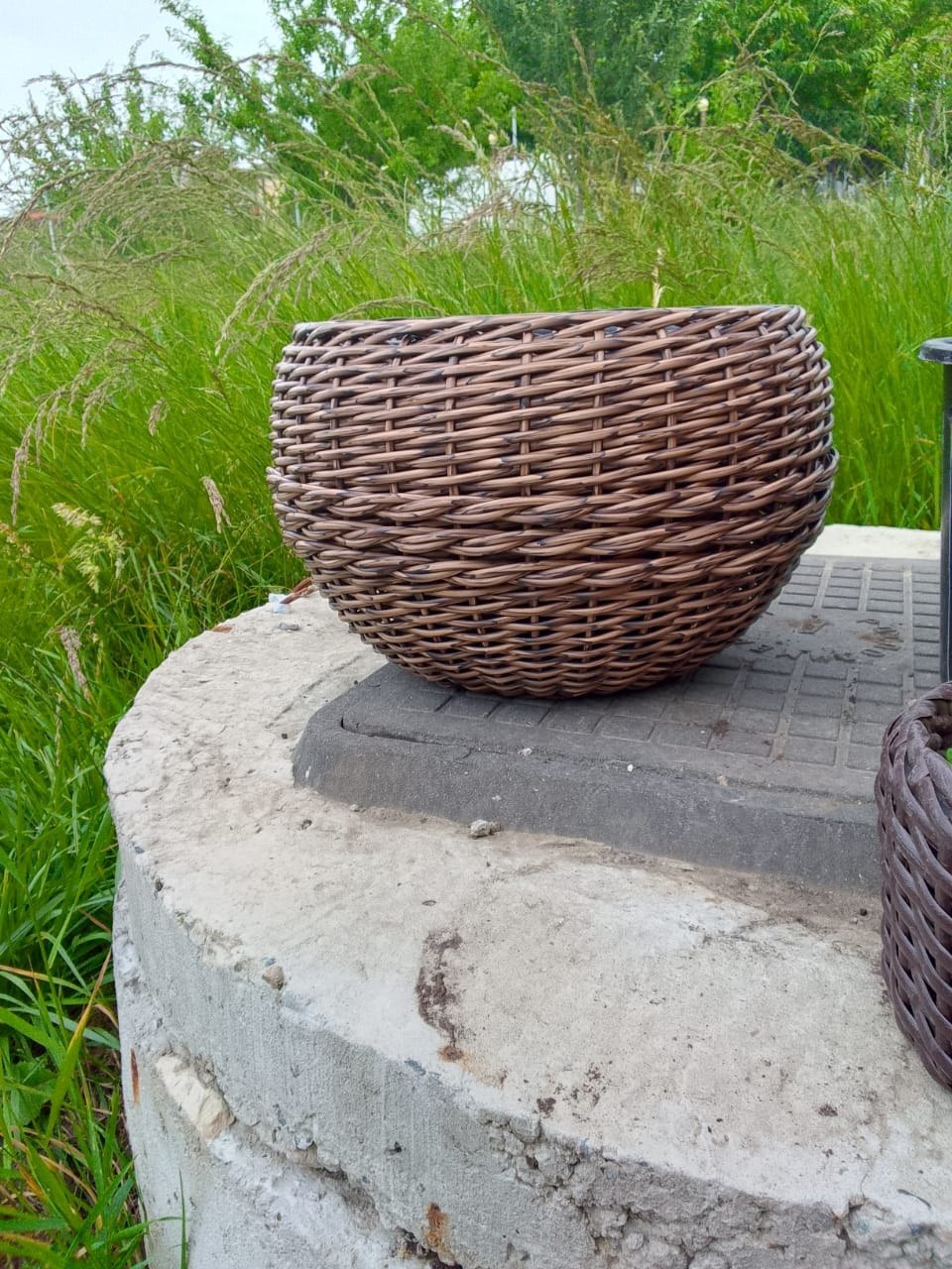 Пожалуйста, предоставьте текст статьи, чтобы я мог создать привлекательный заголовок на основе его содержания.