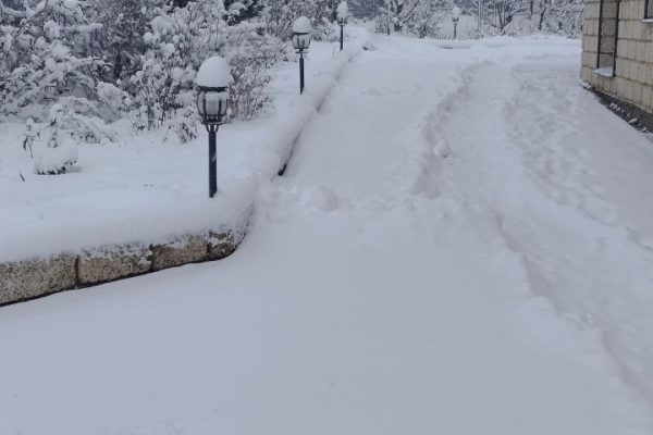 Пожалуйста, предоставьте текст статьи, чтобы я смог создать заголовки на его основе.