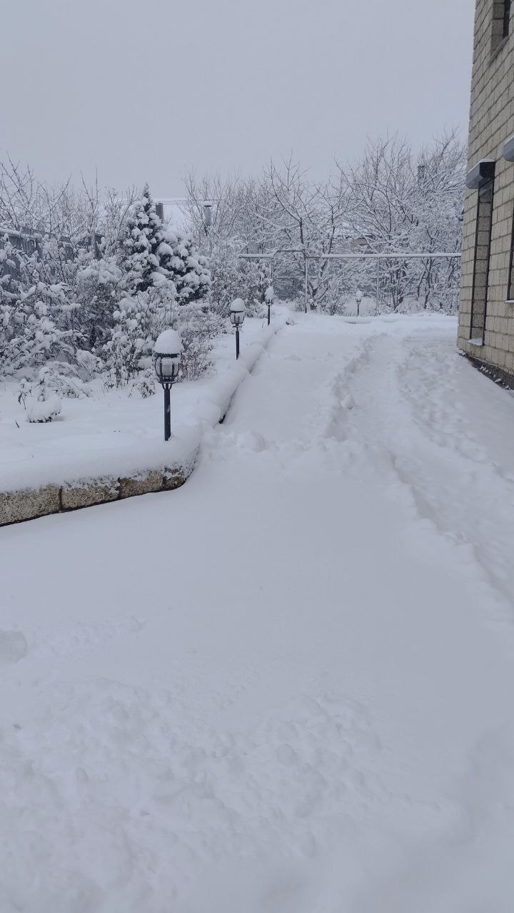 Пожалуйста, предоставьте текст статьи, чтобы я смог создать заголовки на его основе.