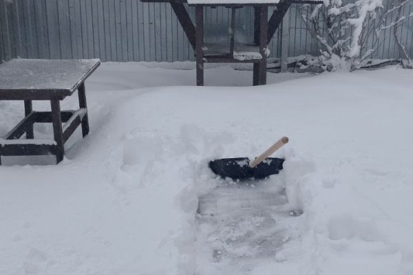 Запеканки для новогоднего стола: простые рецепты, которые порадуют детей и взрослых!