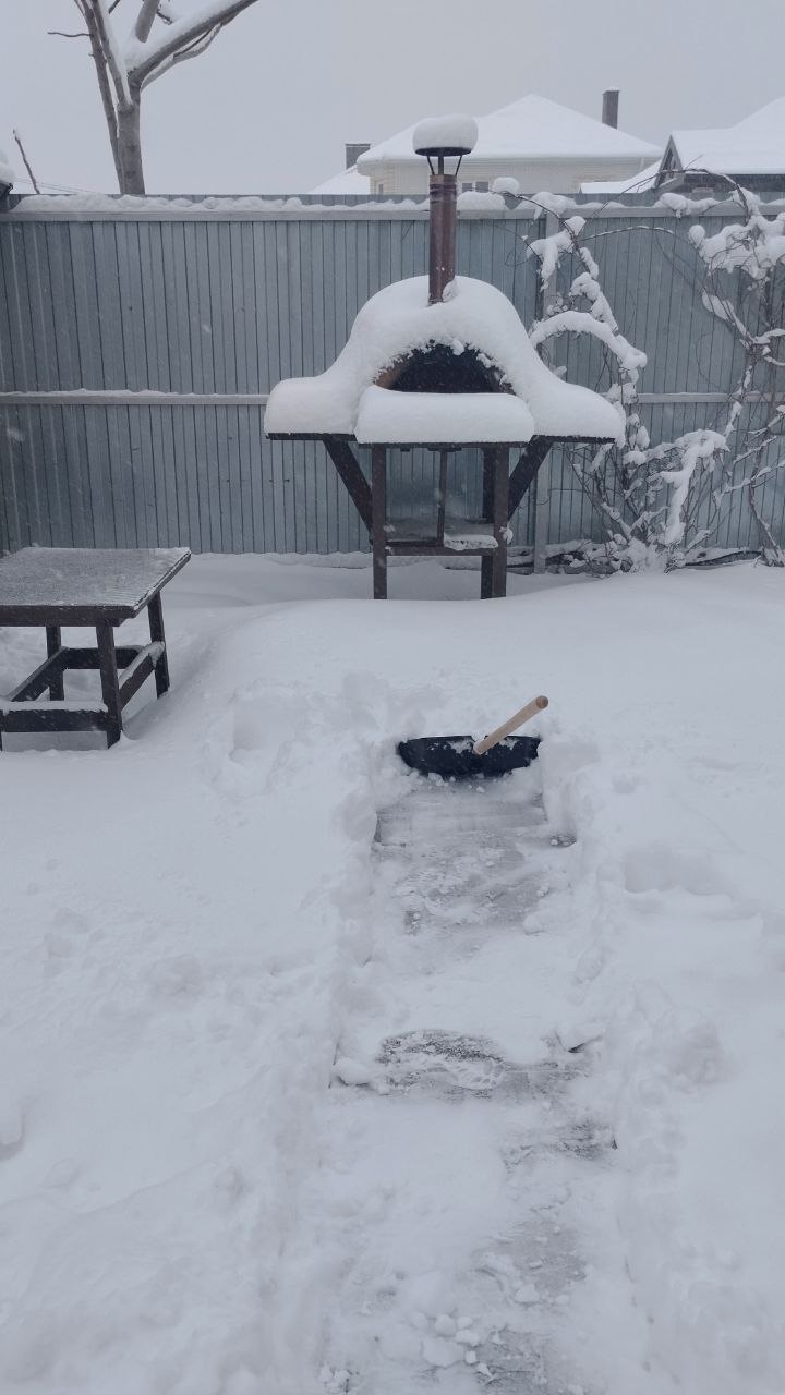 Запеканки для новогоднего стола: простые рецепты, которые порадуют детей и взрослых!